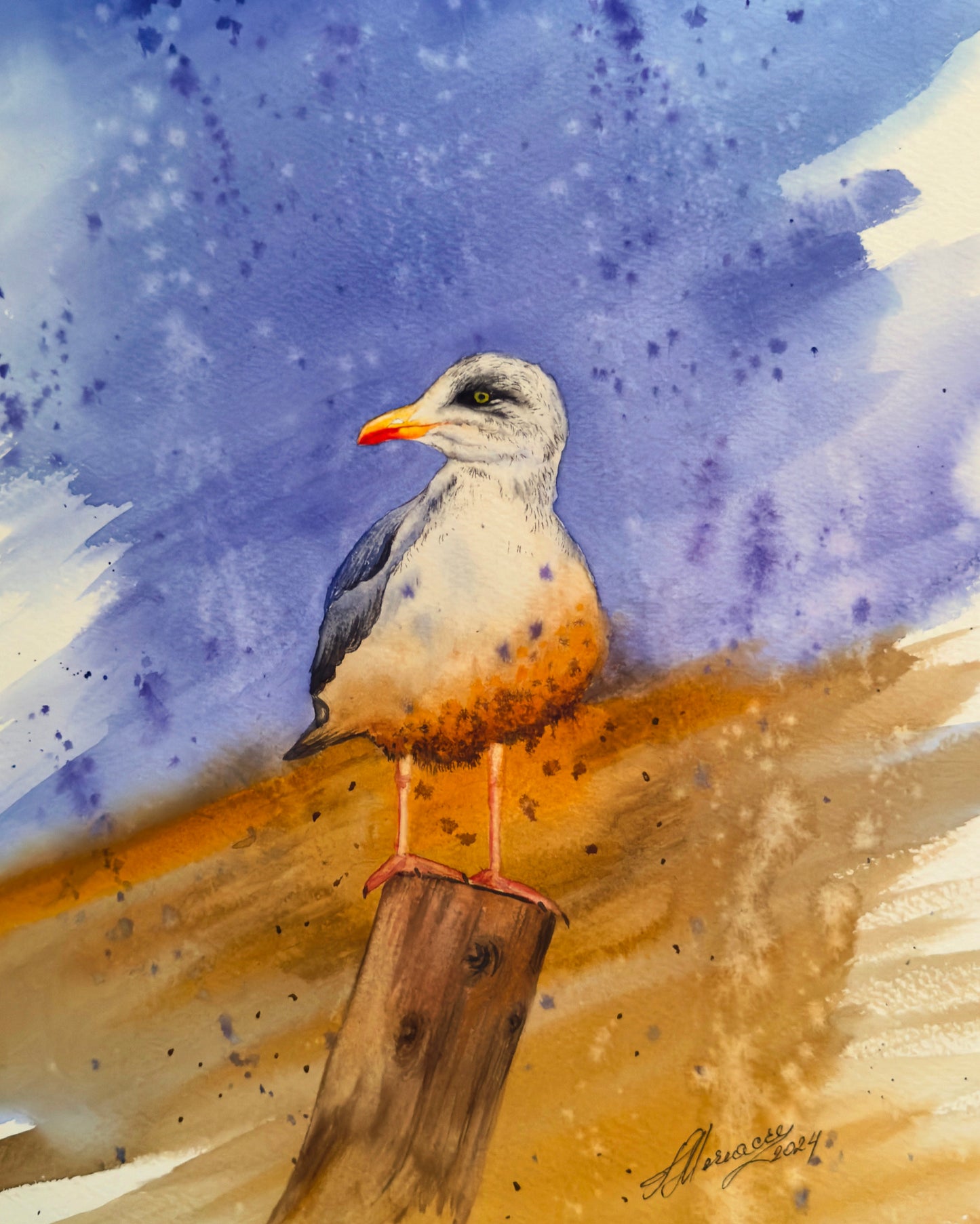 The Seagull