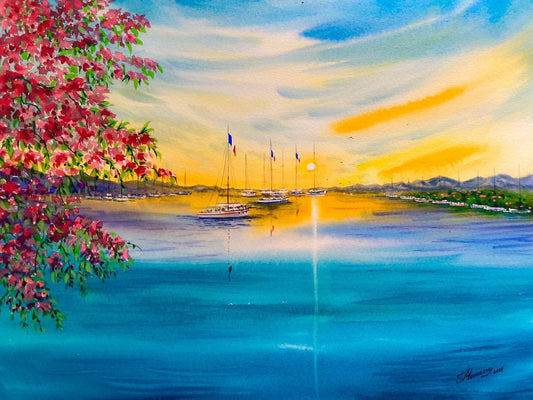 Harbor of Light